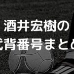 21年最新 酒井宏樹の年俸推移まとめ 浦和レッズへの移籍金はいくら Irohaのブログ